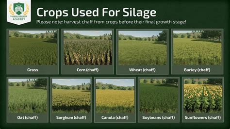 But 1 million liters of <b>corn</b> chaff, <b>grass</b>, or hay is all the same. . Fs22 grass vs corn silage
